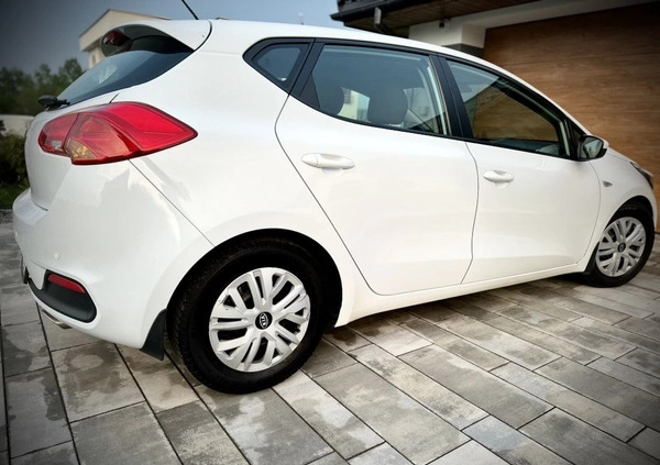 Kia Ceed cena 24900 przebieg: 248000, rok produkcji 2012 z Racibórz małe 379